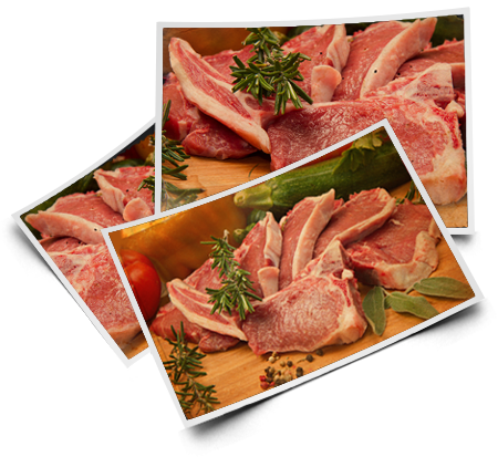 Lammfleisch verkauf : Dorperschafzucht