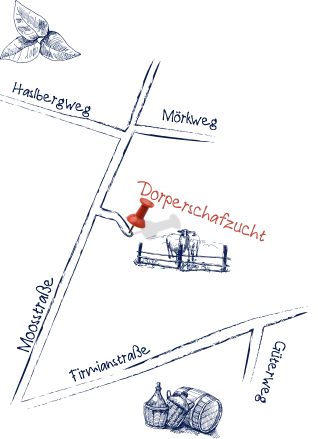 Dorperschafzucht : Anfahrt